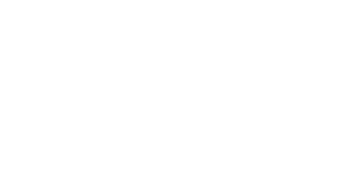 logo-enexis@2x