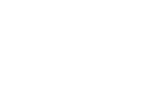 logo-gemeente-velsen@2x