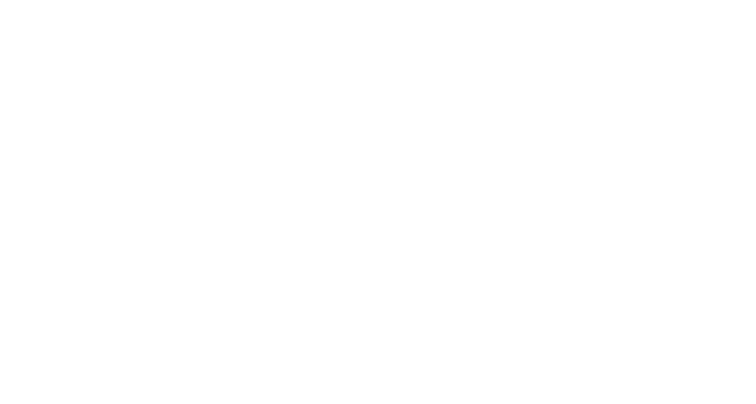 logo-nsdsk@2x