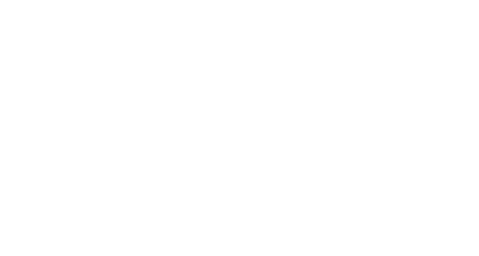 logo-pricewise@2x