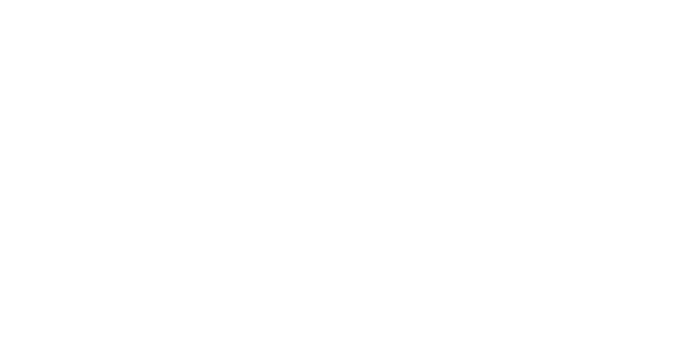 logo-vivat@2x